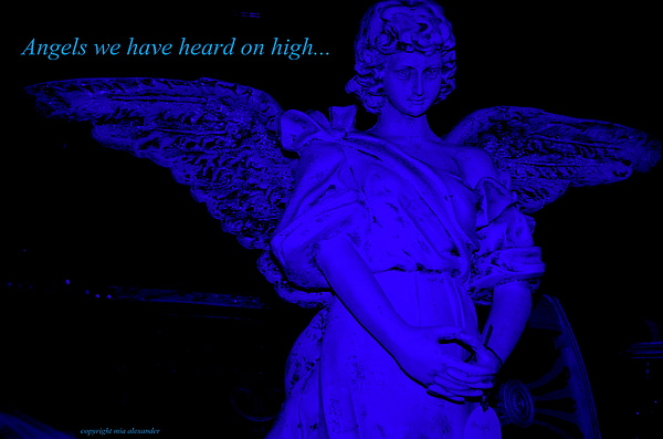Blue Angel by Mia Alexander Blue Angel by Mia Alexander